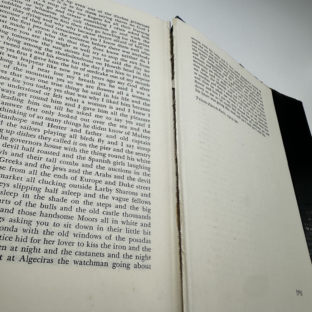Ulysses James Joyce Vintage Modern Library HCDJ 1961 - Picture 15 of 16